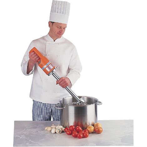 Mixeur monobloc Master MX91 - 120 x 110 x 120 mm - DYNAMIC (1/2)