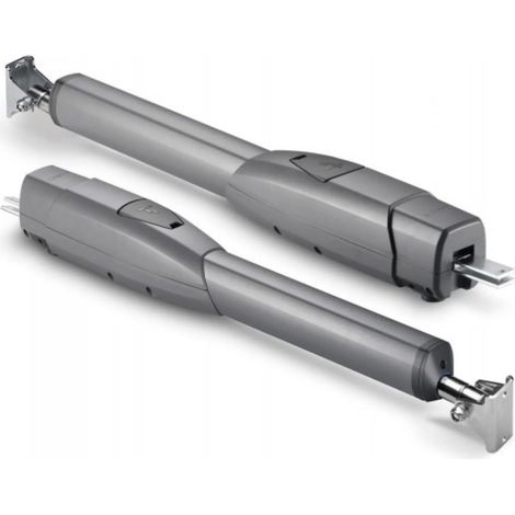 CAME 2 x Motoreducteur irreversible pour portail battant ATS 30AGS 230v
