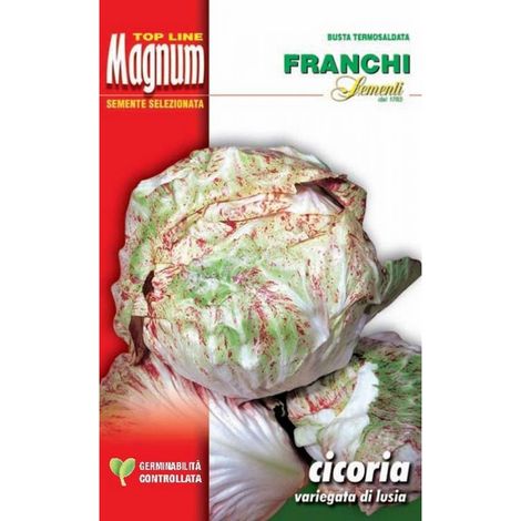 SEMI CICORIA VARIEGATA LUSIA BUSTA MAGNUM FRANCHI SEMENTI