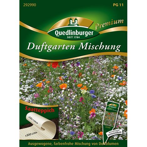 Quedlinburger Saatgut – Jardin parfumé en mélange – Tapis de semis, fleurs parfumées, pour env. 0,6 m², 50-80 cm (1/2)