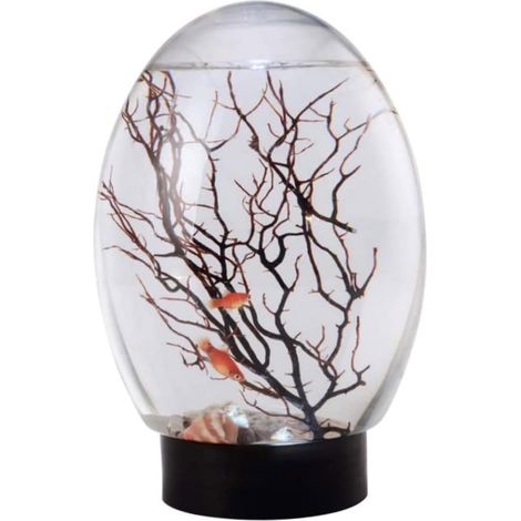 Mini aquarium de table avec éclairage LED, adapté aux petits poissons et aux plantes aquatiques, idéal pour les petits espaces.-AquaForge