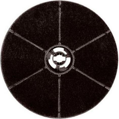 Filtro a carbone (x1) 172 x 44 mm - Cappa aspirante - ROSIERES - 424613663946848098