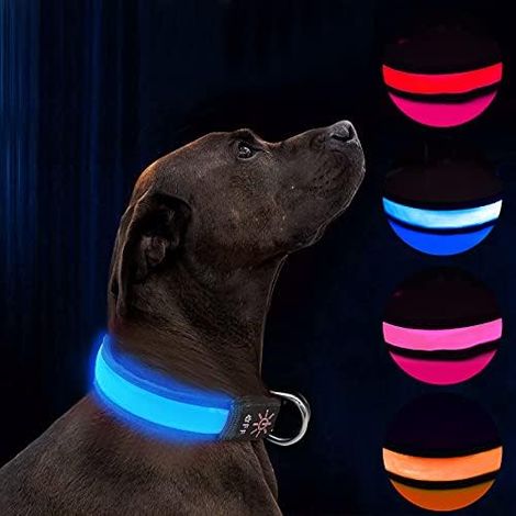 LED Light Up Dog Collar Waterproof USB Rechargeable Dog Collar, Night Dog Band with 3 Light Modes, Makes Your Dog Visible, Safe and Seen (Blue, M) (1/5)