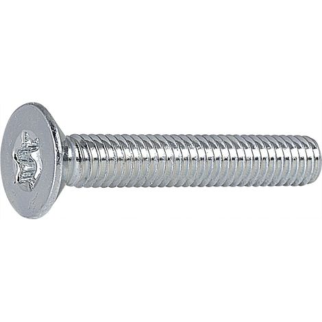 Senkkopfschrauben ø M6 x 8 mm Torx 30 Senkschrauben ISO14581 Schrauben verzinkt