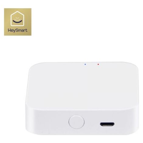 ISNATCH gateway zigbee per gestione da remoto - SMART GATEWAY 68.6811.00