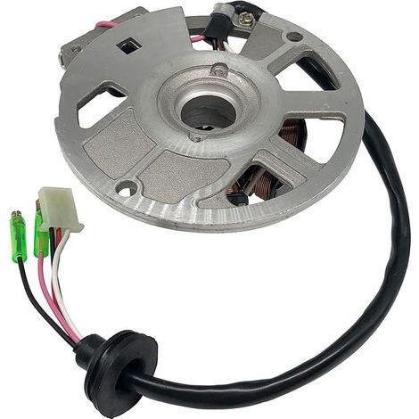 Die Zündspule für ATV-Strandbuggys ist mit dem Zündspulenstator von Polaris 50CC-90CC kompatibel. (1/3)