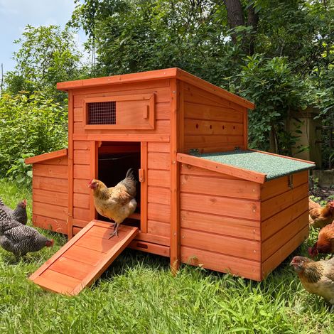 Poulailler en bois avec pondoirs latéraux OKWISH (1/5)