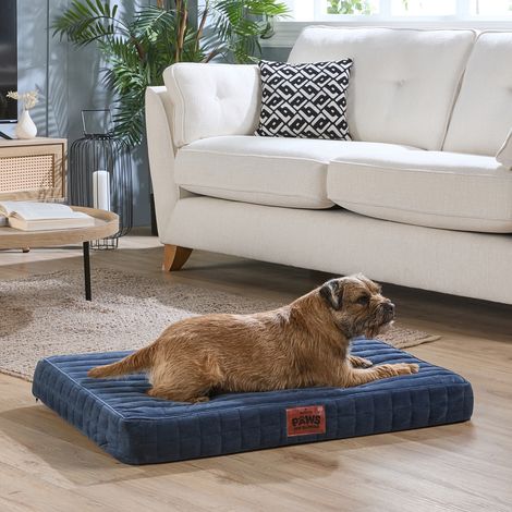 Paws for Slumber Orthopedic Pet Bed, Navy, Medium