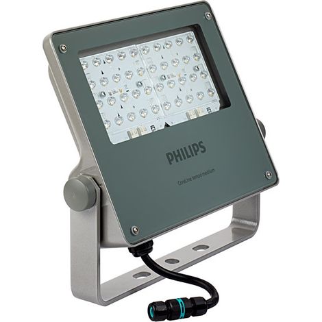 Faretto esterno Philips Coreline Tempo Medium grigio 95W (1/2)