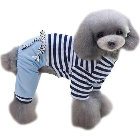 Ropa para mascotas Otoño e Invierno Mascota Cuatro (1/5)
