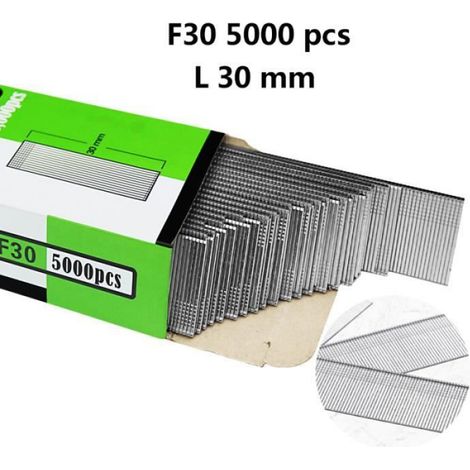 Clous F30 Longueur 30 mm Galvanisé Inox - Boite de 5000 pcs (1/3)