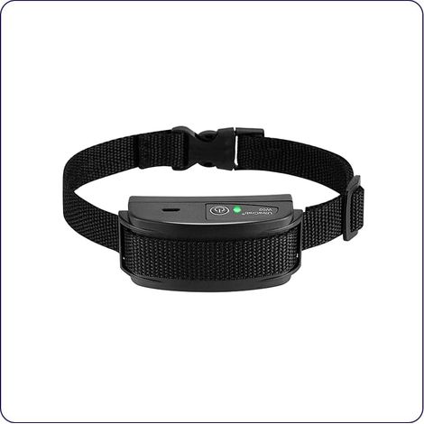 Système clôture électrique enterrée chien – Collier seul inclus – Barrière invisible – Contrôle périmètre