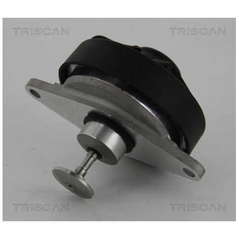 Vanne EGR Triscan 8813 24202 OPEL 8 49 124 91 92 805 9192805 93170138