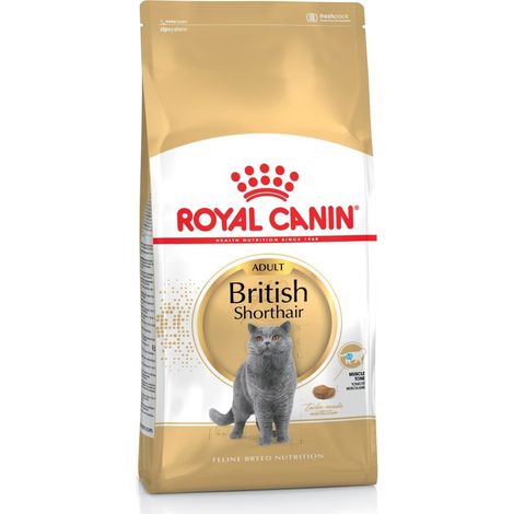 Royal Canin FBN Kit Brit Shorth food 04 kg