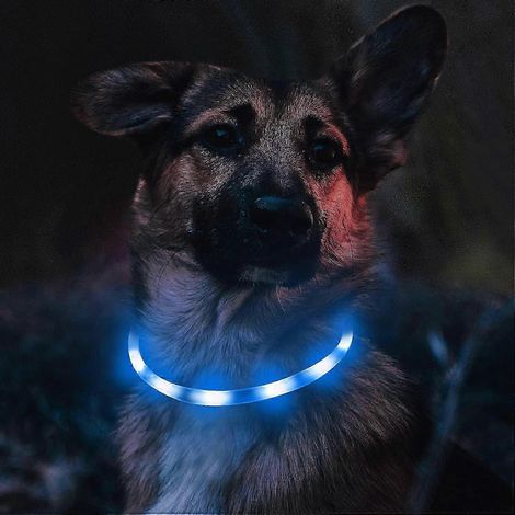 Collier lumineux pour chien, collier clignotant à LED pour les promenades nocturnes, rechargeable, convient aux chiots et aux chiens de petite, moyenne et grande taille, bleu. (1/3)