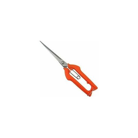 Sécateur à lame droite allongée en acier inoxydable pour cueillir les fruits – (1/5)