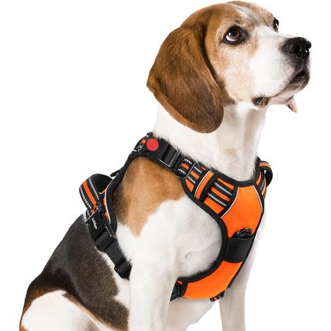 Harnais Chien avec Boucles, Harnais Anti Traction pour Chien avec Poignée et Attache Devant, Réglable, Réfléchissant, Chiens Moyen, Orange, M (1/5)