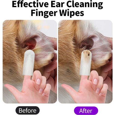 Lingettes nettoyantes pour les oreilles des animaux - Nettoyage doux du cérumen pour chats et chiens, produits de soin du conduit auditif des animaux -- Lingettes nettoyantes pour les oreilles des ani (1/4)