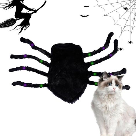 Spider Pet Cosplay Costume, Realistic Scary Spider Dog Costume
