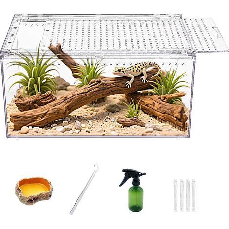 Reptile Growth Terrarium pour Reptiles en PC, enclos pour Tarentule, Aquarium pour araignée 30 x 20 x15 cm, enclos pour lézard, Aquarium d'élevage pour Insectes, Poissons, tarentules, crabes ermites (1/5)