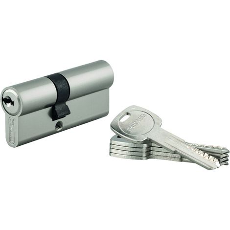 Cylindre de serrure double entrée 30x40mm – 6 goupilles – 5 clés – Protection anti-crochetage et anti-perçage – Laiton nickelé (1/5)