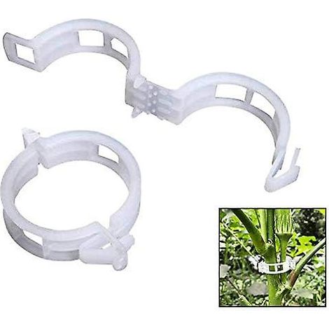 Clips de fixation en plastique pour plantes grimpantes, idéaux pour soutenir les tomates, les poivrons, les plantes grimpantes et les fleurs à port dressé. (1/5)