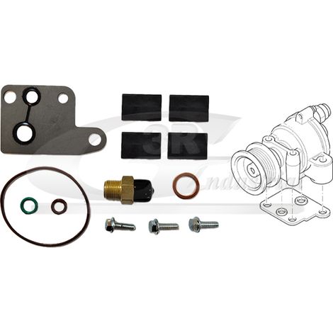 3RG 74303 KIT REPARACIÃƒâ€œN BOMBA VACÃƒÂO (13PCS)