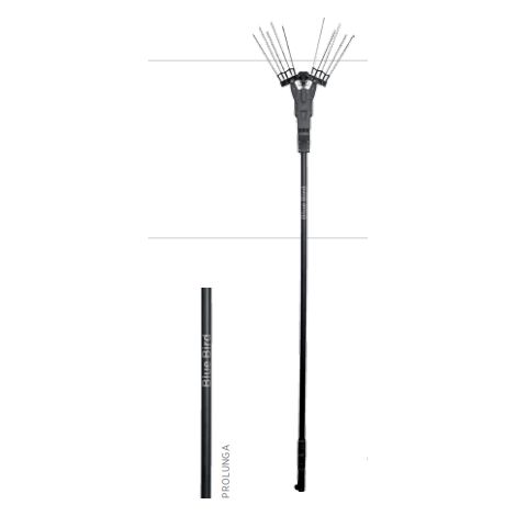 BLUE BIRD TIRRENO 3500-36V motor 700W doble peine con 10 polos