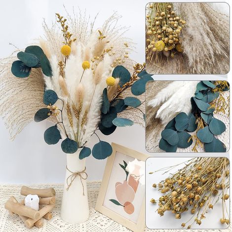 Herbe de la pampa séchée, 65 pièces, décoration florale séchée, herbe de la pampa naturelle, petit format, trois