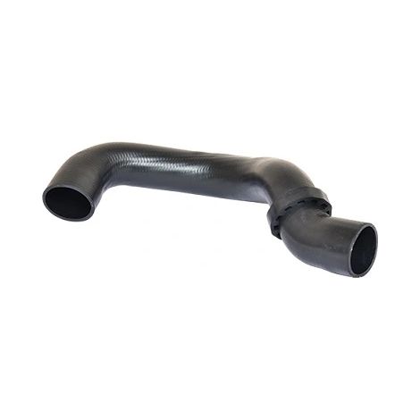 Gaine de suralimentation BUGIAD 82695 VW 7E0145980
