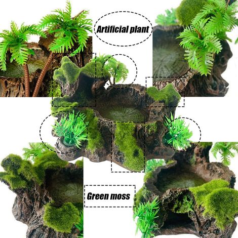 Aliments pour reptiles, mangeoires en résine pour tortues, récipients en verre, plantes artificielles décoratives, lézards, geckos, caméléons, grenouilles, araignées (1/4)