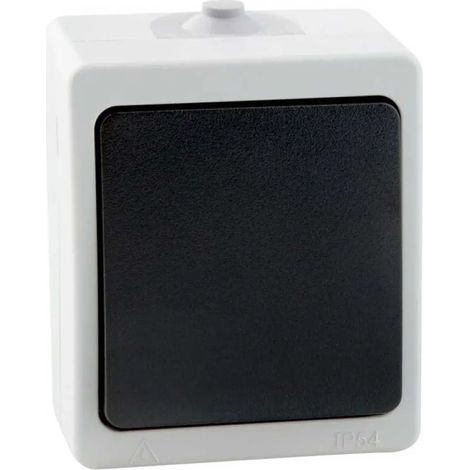 Interrupteur onlex ip54 étanche 250V 10A