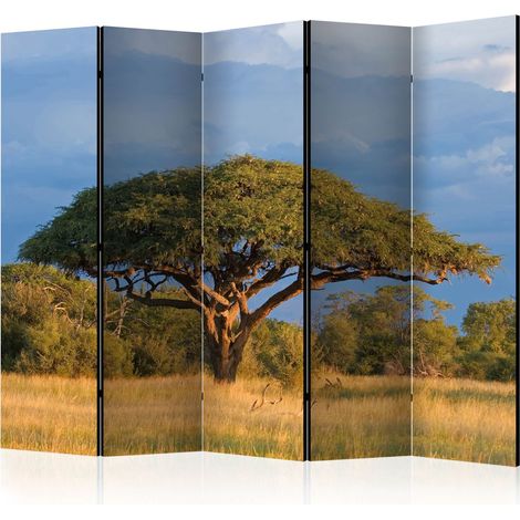 Paravento - African acacia tree, Hwange National Park, Zimbabwe II [Room Dividers] - 225x172 (1/4)