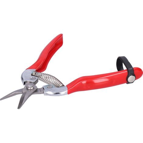 Ciseaux de jardinage pour cueillir fruits et fleurs, sécateur d'élagage pour branches florales et taille de jardin (1/5)
