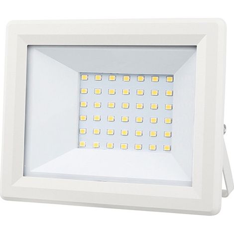 FOCO LED BLANCO IP65 - 30 W (1/3)