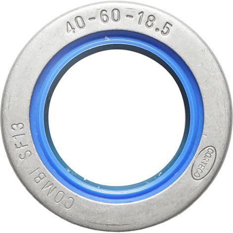 Paraolio gruppo planetario anteriore, dimensioni 40 x 60 x 18,5 mm, per trattori John Deere, Case IH e Deutz-Fahr, codice OEM 04341193
