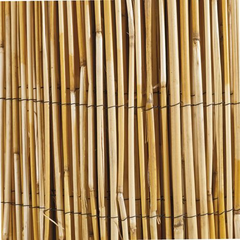 Canisse roseau naturel 1x5m – Occultation 90% – Épaisseur 4-6 mm – Brise vue esthétique pour jardin, terrasse et balcon – Windhager