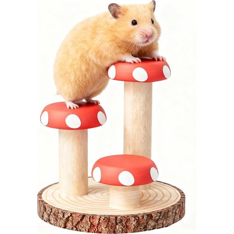 Escaleras de madera para trepar de hámster, accesorios para jaulas de animales pequeños, juguetes de enriquecimiento para ratas, jerbos, hurones, chinchillas y cobayas.