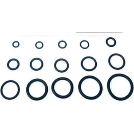 O-RING 8,00X1,90 P/FLESSIBILE MISCELATORE PZ.100