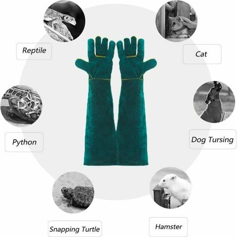Gants anti-morsures pour la manipulation des animaux, gants de travail en cuir de sécurité pour le bain, le toilettage, la manipulation des chiens, des chats, des oiseaux, des serpents, des lézards, d (1/4)
