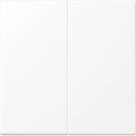 Jung Wippe Serientaster LS 102 WWM