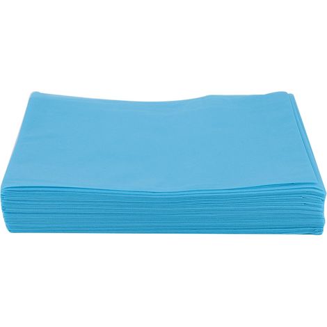Protection jetable imperméable pour tables de massage, salon, spa, hôtel et tatouage (Bleu) (1/5)