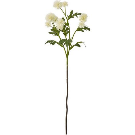 Globe Thistle Spray (Single Stem Flower) - Plastic - Height 56 cm - Cream
