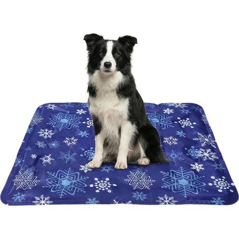 Tapis Rafraichissant Chat Chien pour Refroidissant Fraicheur RafraîChissant Couverture Rafraichissante Refrigerant Matelas Coussin Froid Lapin Refroidissement Frais De Cooling Mat Cat Dog (1/5)