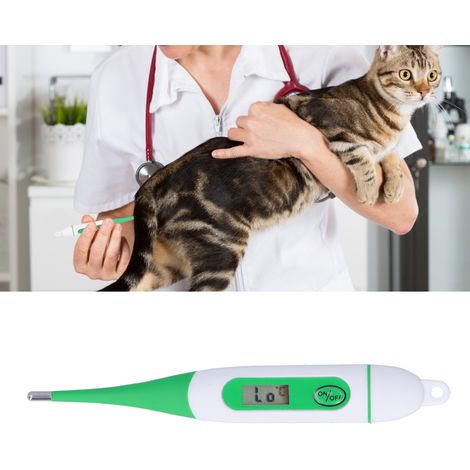Thermomètre électronique vétérinaire étanche, thermomètre numérique pour animaux (bovins, ovins, chevaux) (1/5)