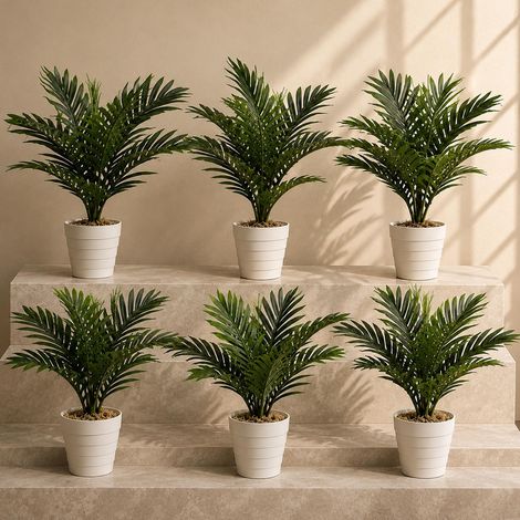 Pack of 6 x 50cm Artificial Mini Palm Tree Premium (1/5)