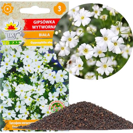 R4584 GESSO RITOCCA BIANCO 1G SEMI DI GESSO FIORI PER CAMERE DA LETTO E GIARDINI ROCCIOSI (1/5)