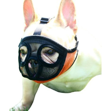 Mesh Dog Muzzle, Short Dog Muzzle, Adjustable Breathable Mesh Dog Muzzle, Bulldog Muzzle for Biting, Chewing, Barking, Dog Mask, Orange, M (1/5)