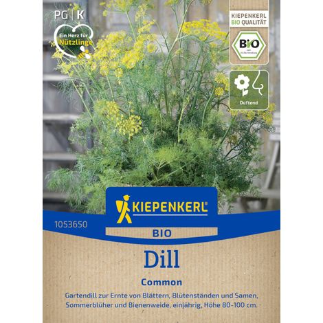Kiepenkerl Saatgut BIO Dill für ca. 900 Pflanzen (1/2)