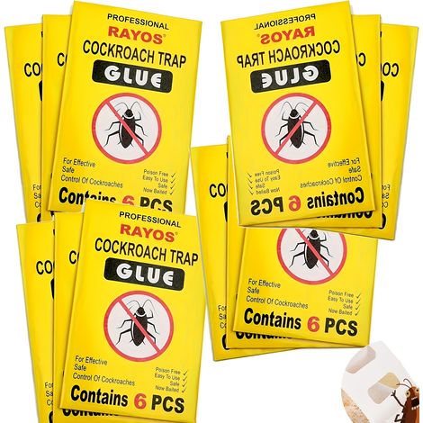 pièges collants jaunes pour insectes mantes religieuses et moustiques – Sûrs fiables efficaces 22 x 14 cm 14 cm 22 x (1/5)